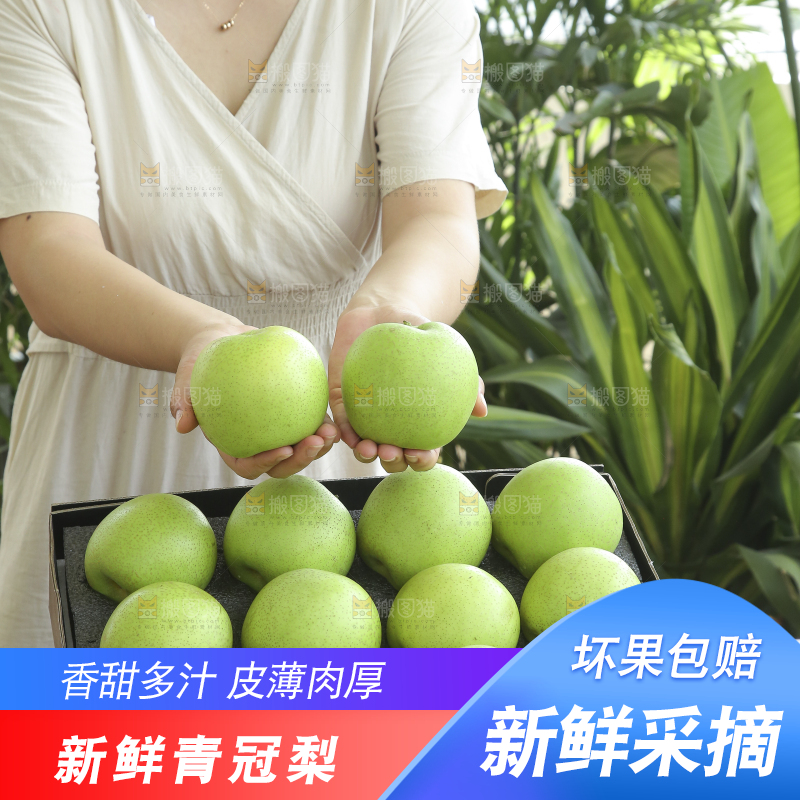 手里拿着一盒青皇冠梨