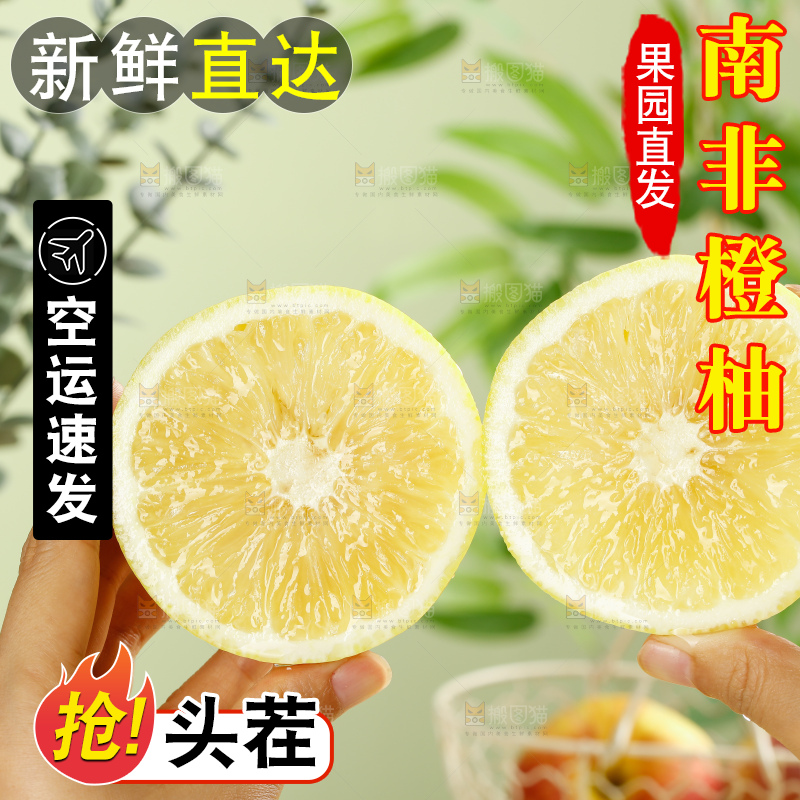 浅底上的南非橙柚