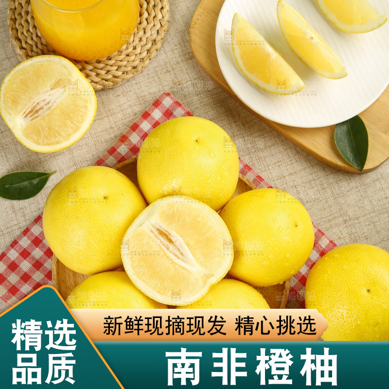 浅底上的南非橙柚