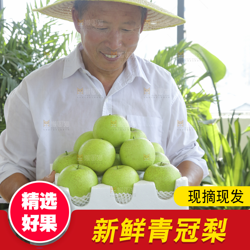 手里拿着一盒青皇冠梨