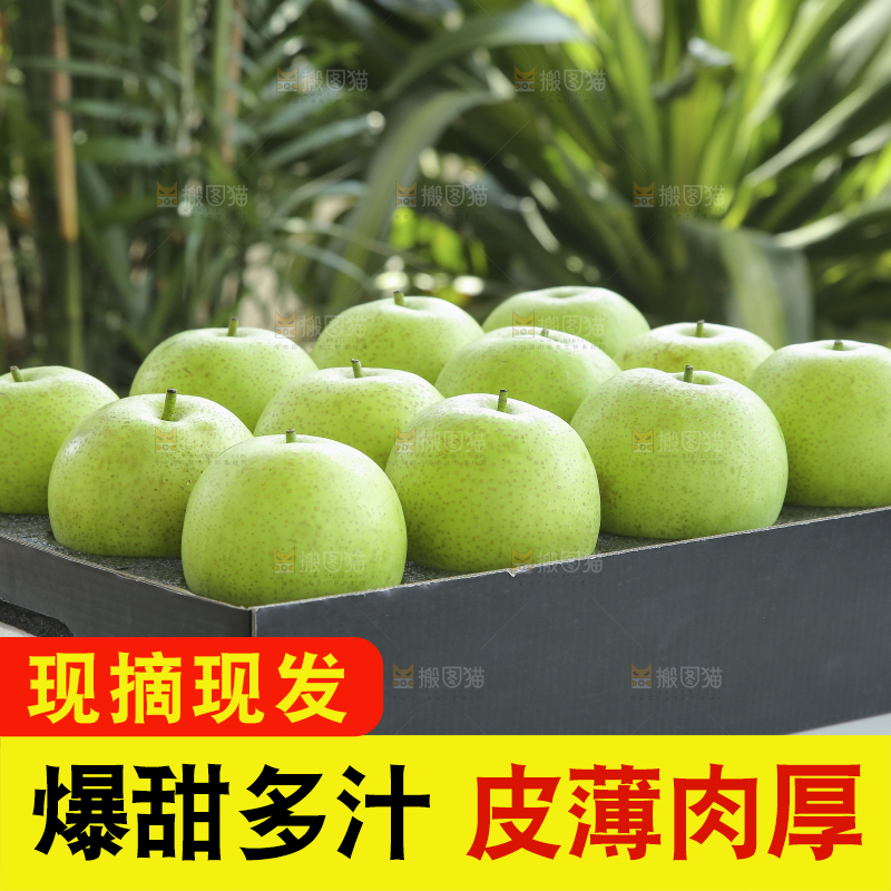 浅底上的青皇冠梨