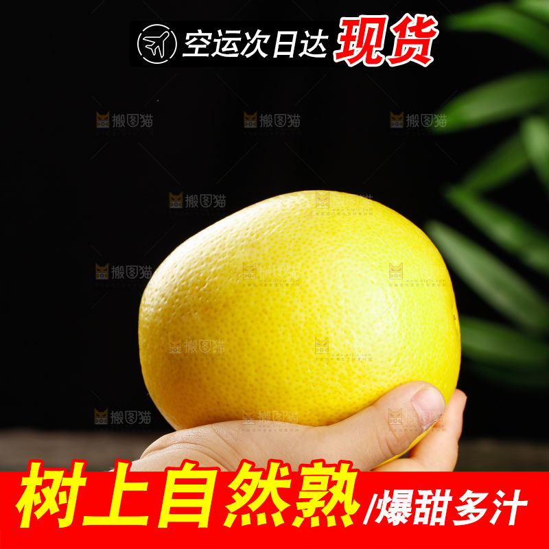 深底上的南非橙柚