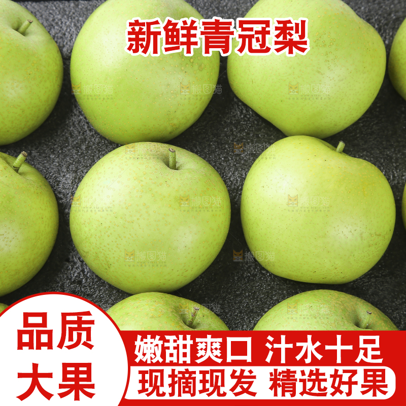 浅底上的青皇冠梨