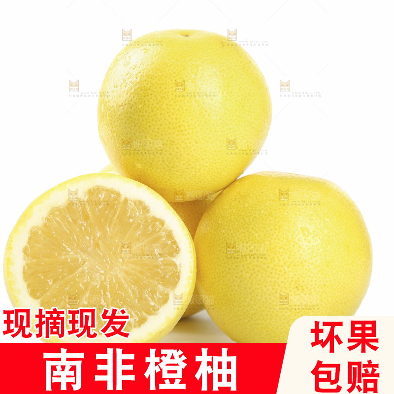 白底上的南非橙柚