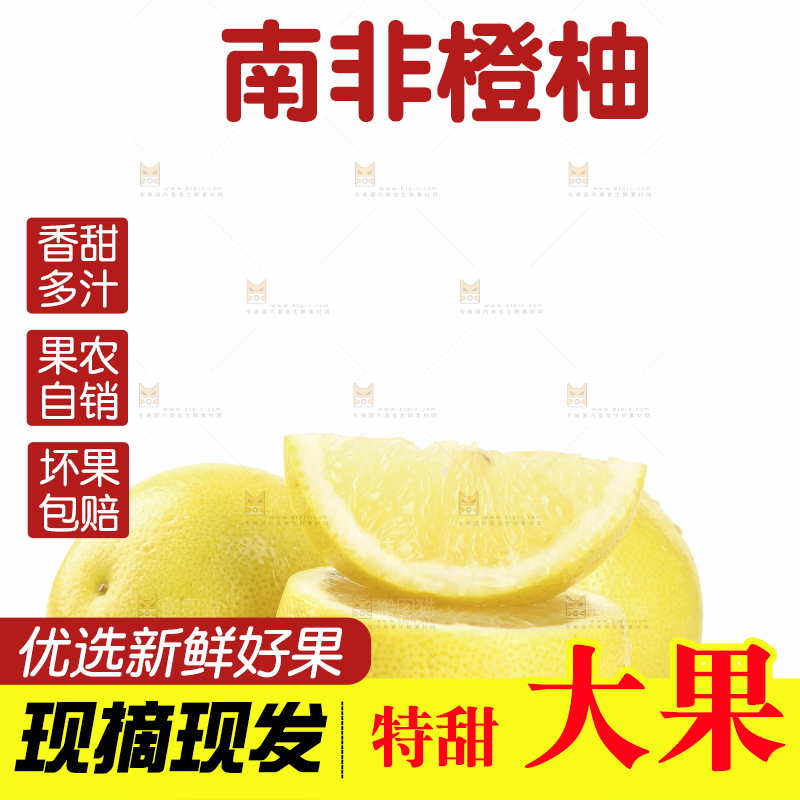 白底上的南非橙柚