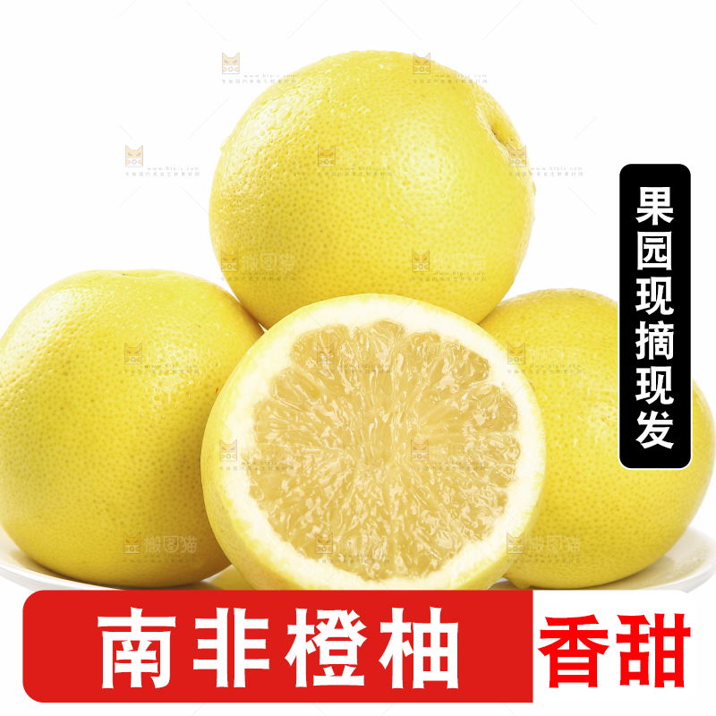 白底上的南非橙柚
