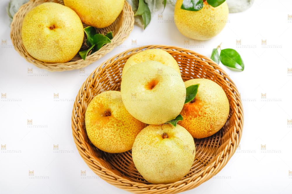 浅底上的砀山酥梨