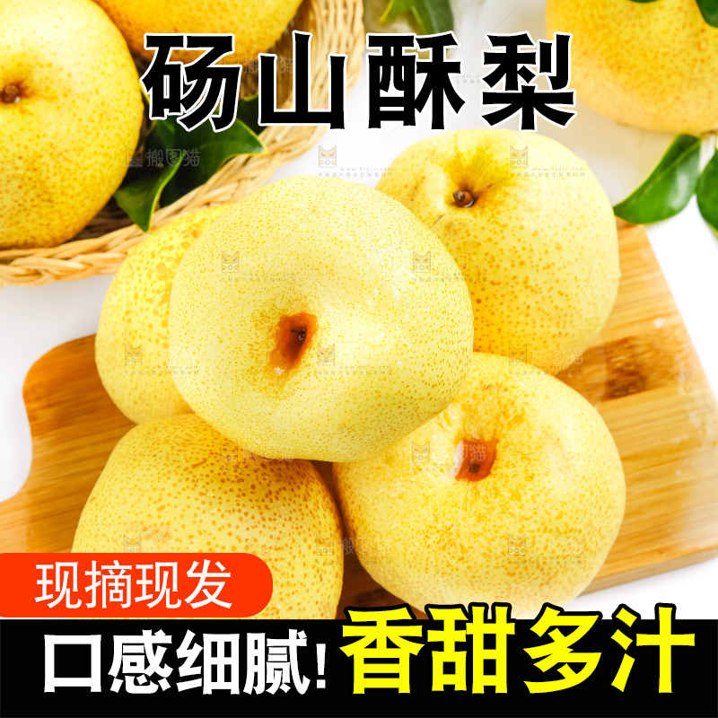 浅底上的砀山酥梨