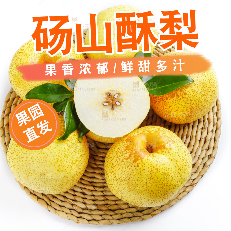 白底上的砀山酥梨