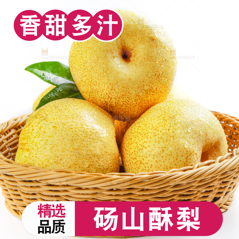白底上的砀山酥梨