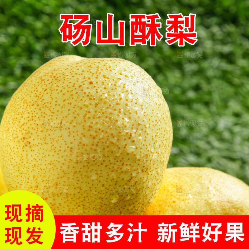 草地上的砀山梨