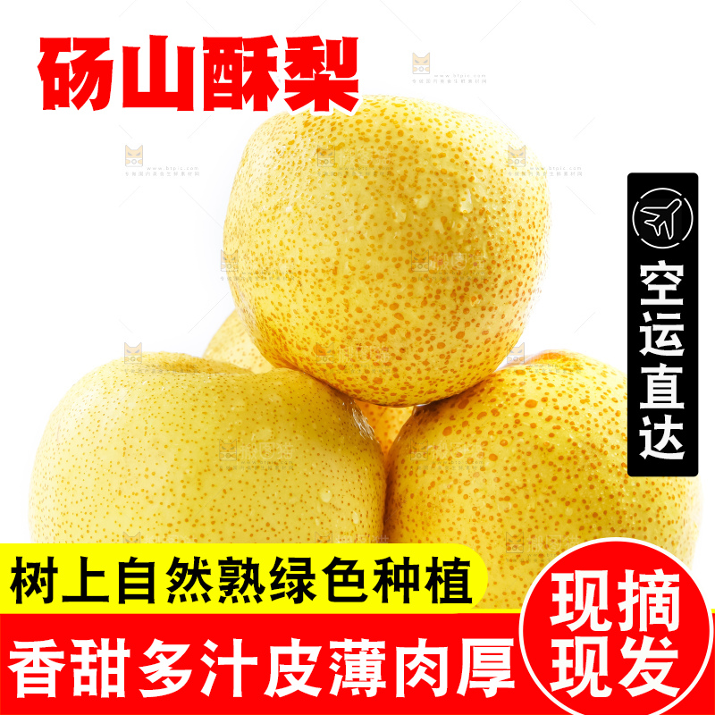 白底上的砀山酥梨