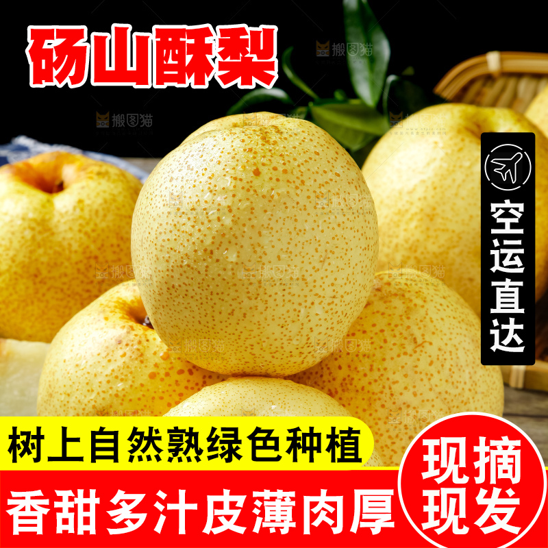 木底上的砀山酥梨