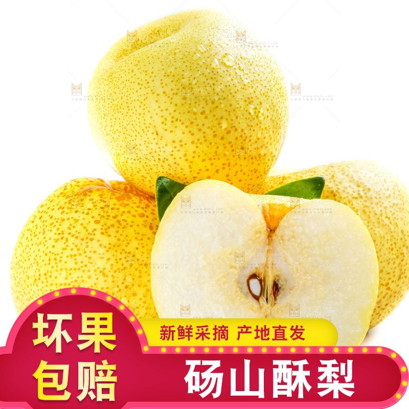 白底上的砀山酥梨