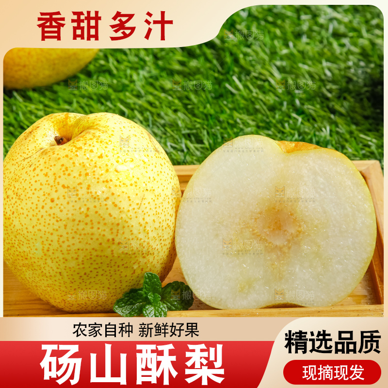 草地上的砀山梨