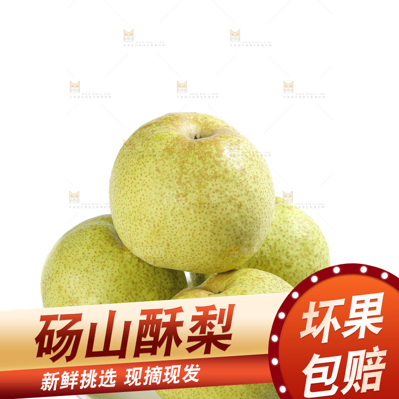 白底上的砀山酥梨