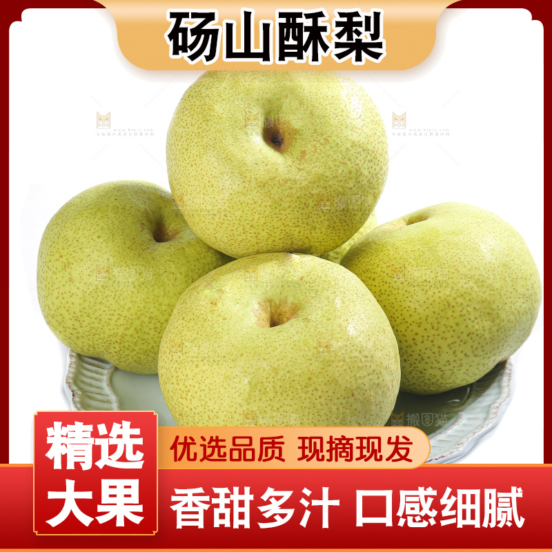 白底上的砀山酥梨
