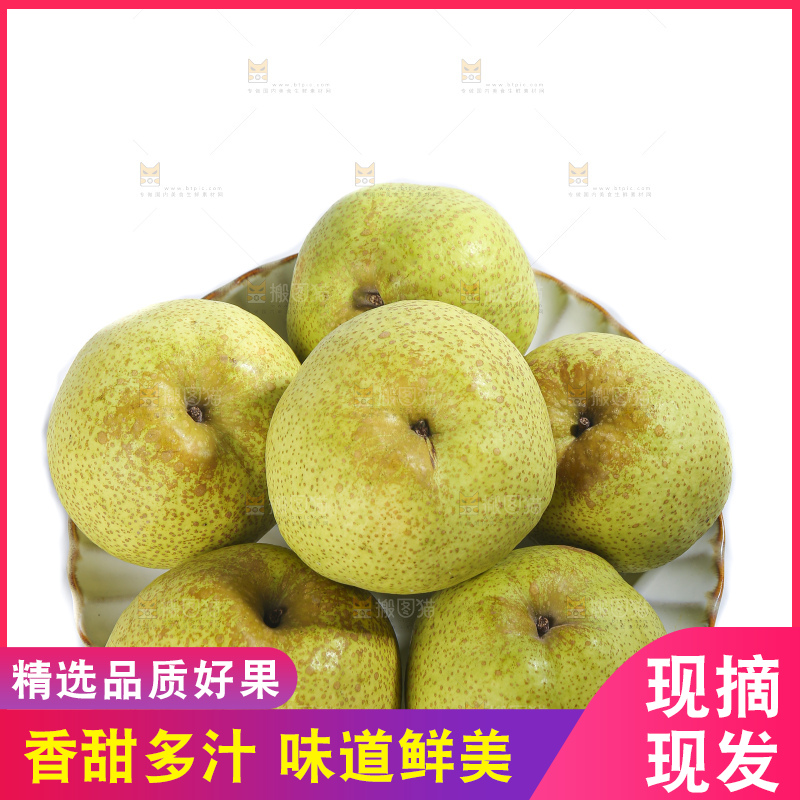 白底上的砀山酥梨