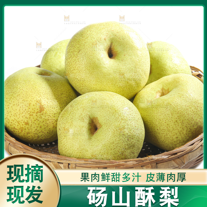 白底上的砀山酥梨