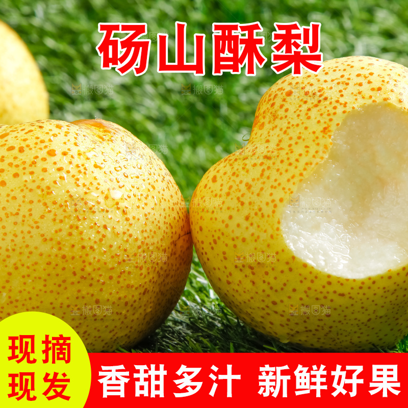 草地上的砀山梨