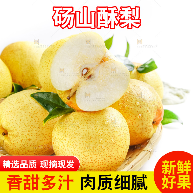 白底上的砀山酥梨