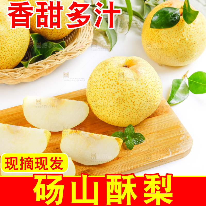 浅底上的砀山酥梨