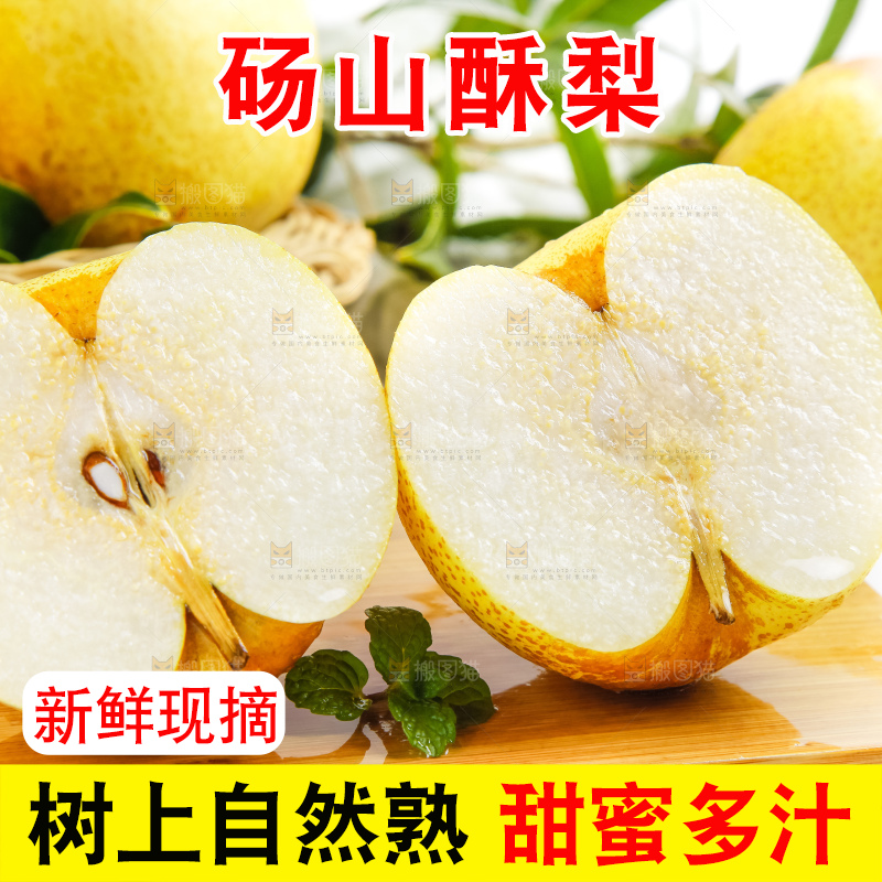 浅底上的砀山酥梨