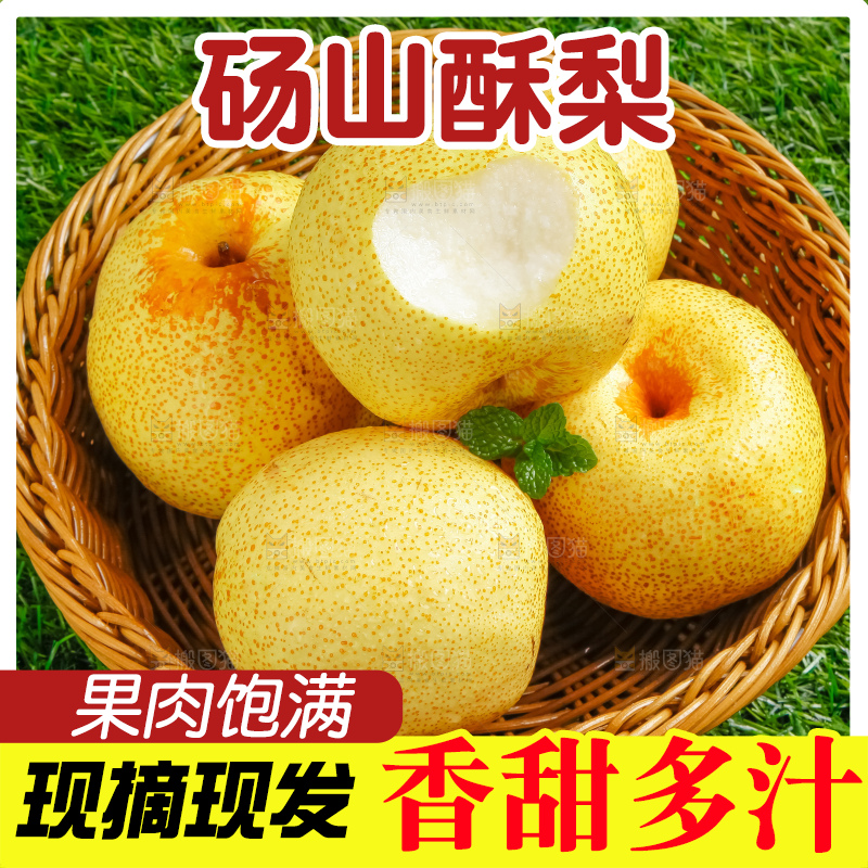 草地上的砀山梨