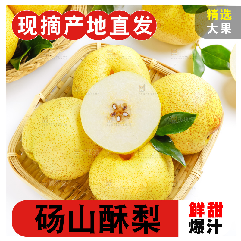 白底上的砀山酥梨
