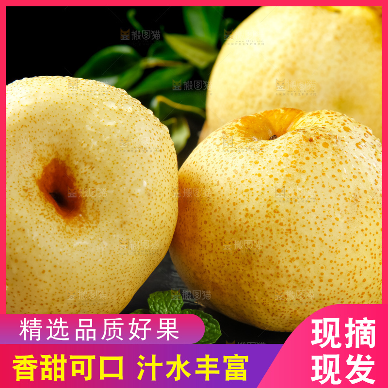 木底上的砀山酥梨