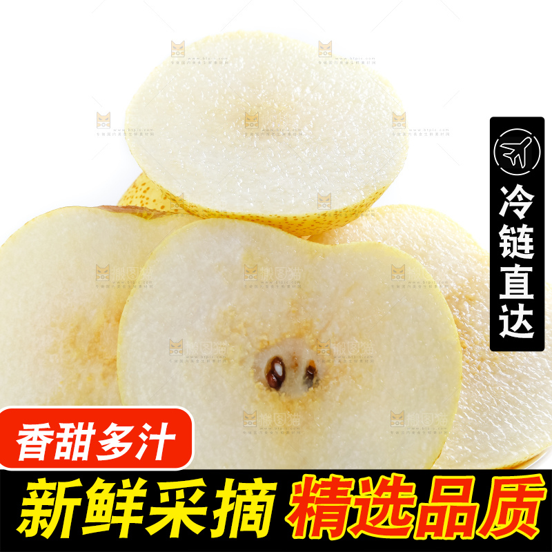白底上的砀山酥梨