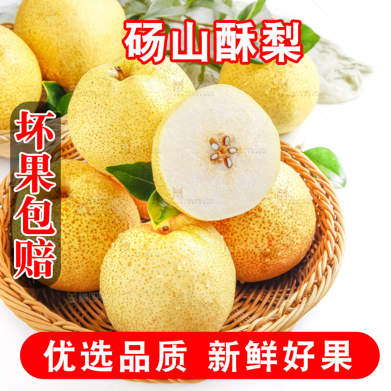 浅底上的砀山酥梨