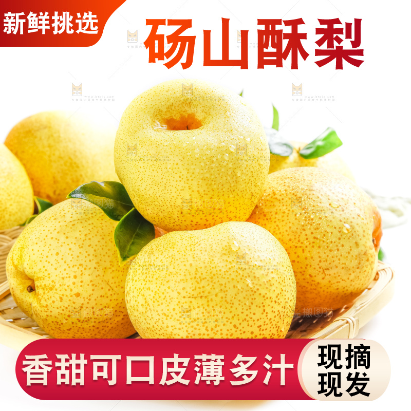 白底上的砀山酥梨