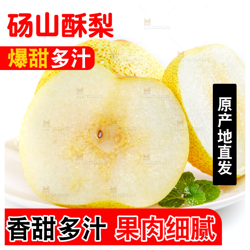 白底上的砀山酥梨