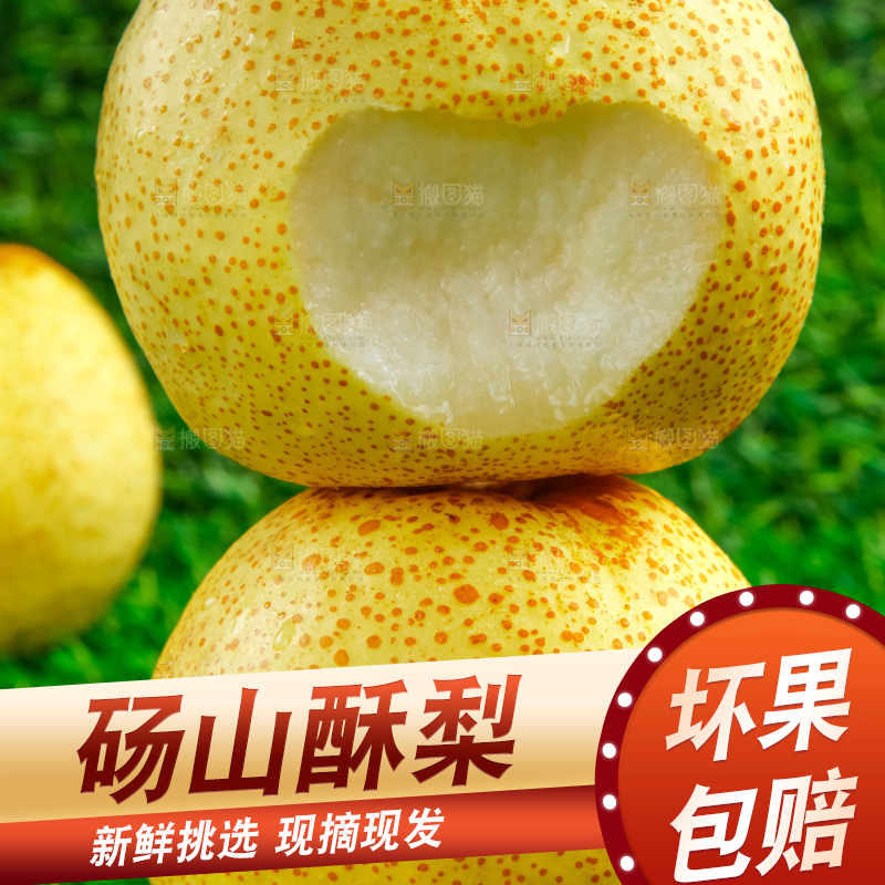 草地上的砀山梨