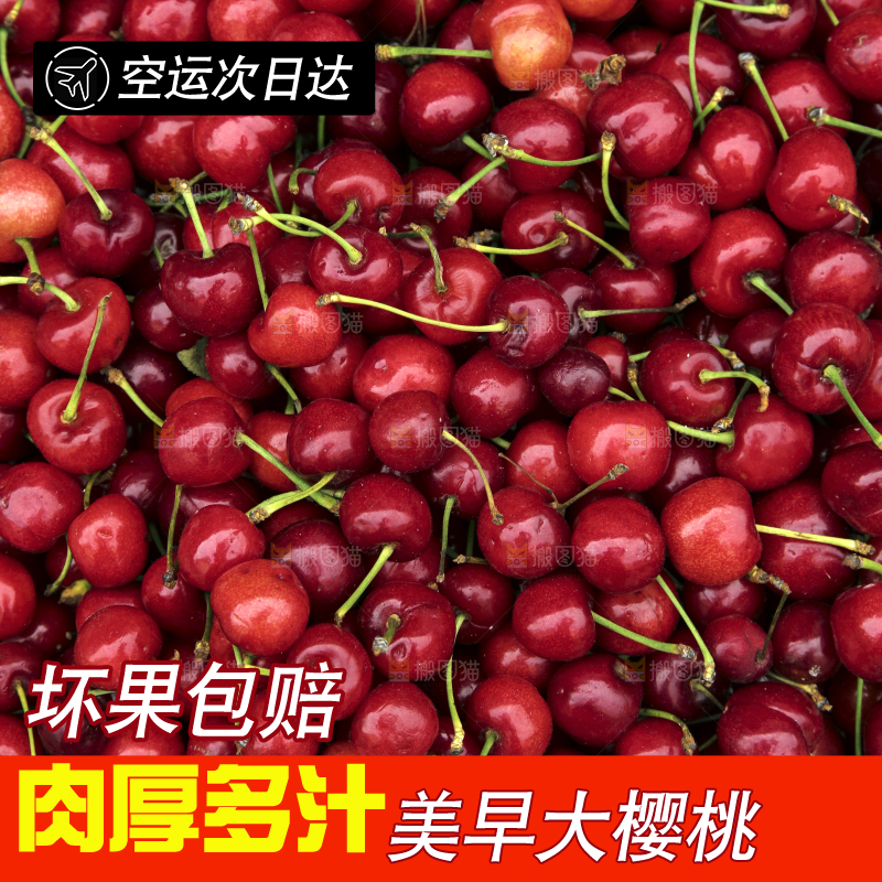 堆放着美早大樱桃