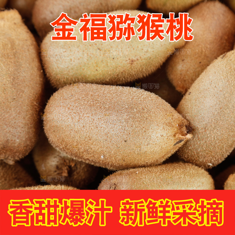 堆放着的金福猕猴桃