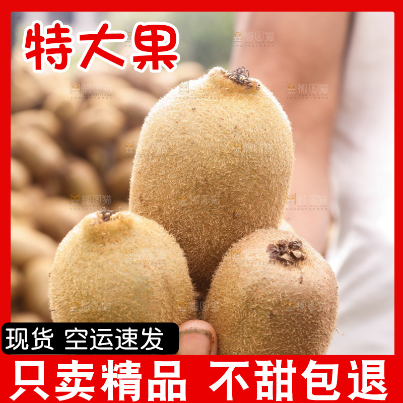 堆放着的金福猕猴桃