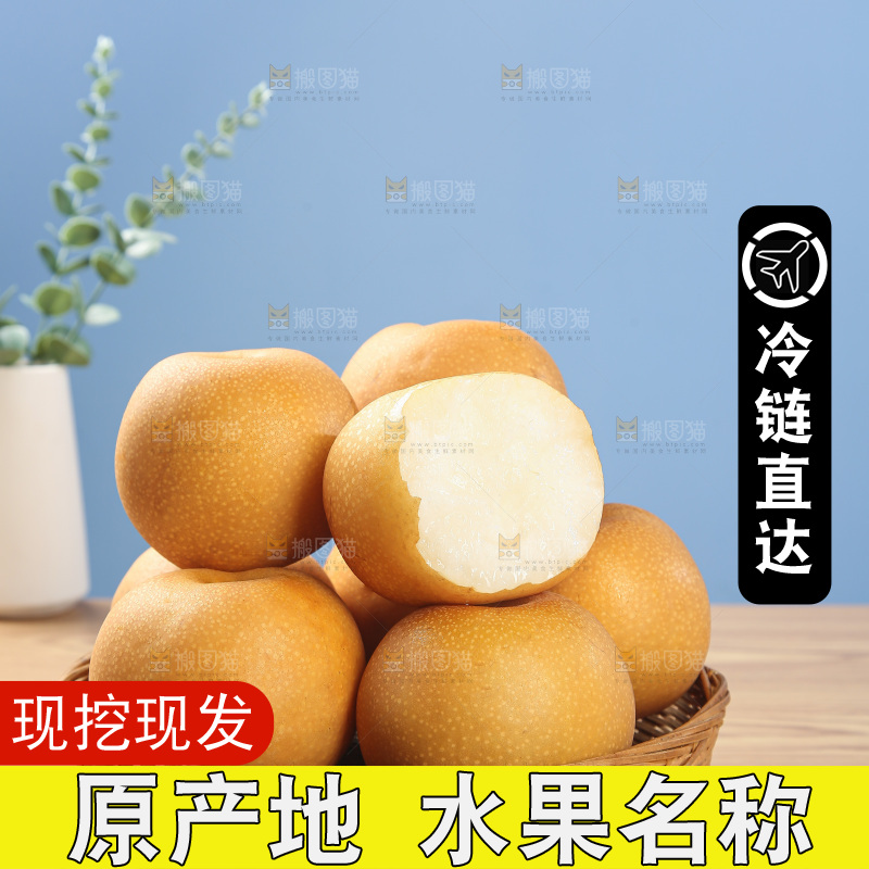 木底上的秋月梨