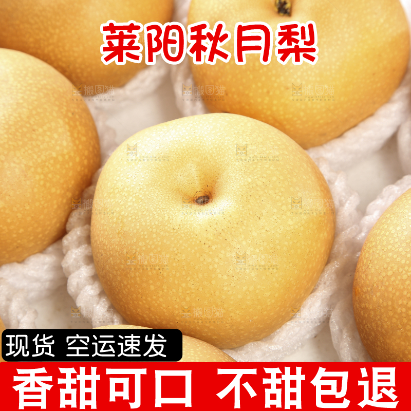 木底上的秋月梨