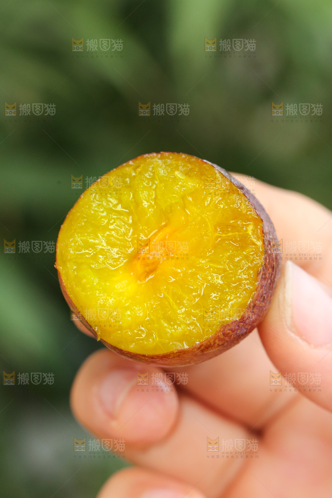 手里拿着新鲜西梅