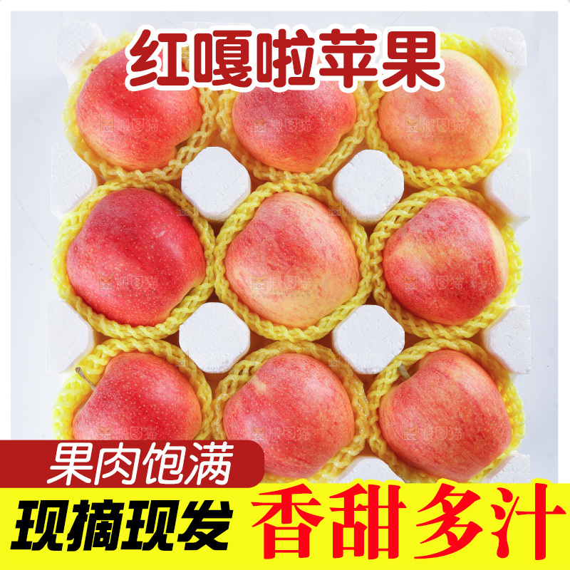 浅底上的红嘎啦苹果