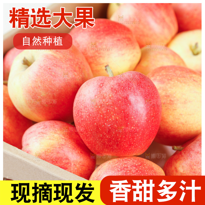 浅底上的红嘎啦苹果