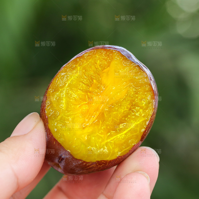 手里拿着新鲜西梅