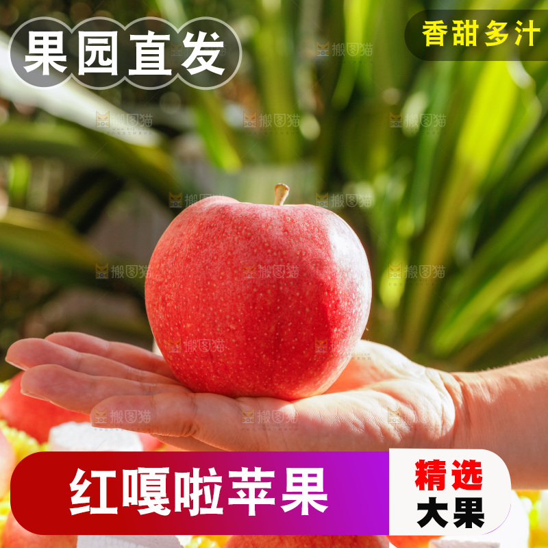 手里拿着红嘎啦苹果
