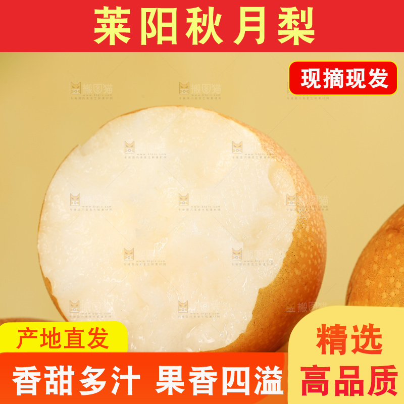 浅底上的秋月梨