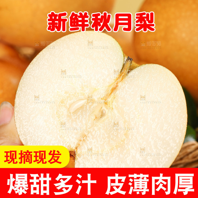 浅底上的秋月梨