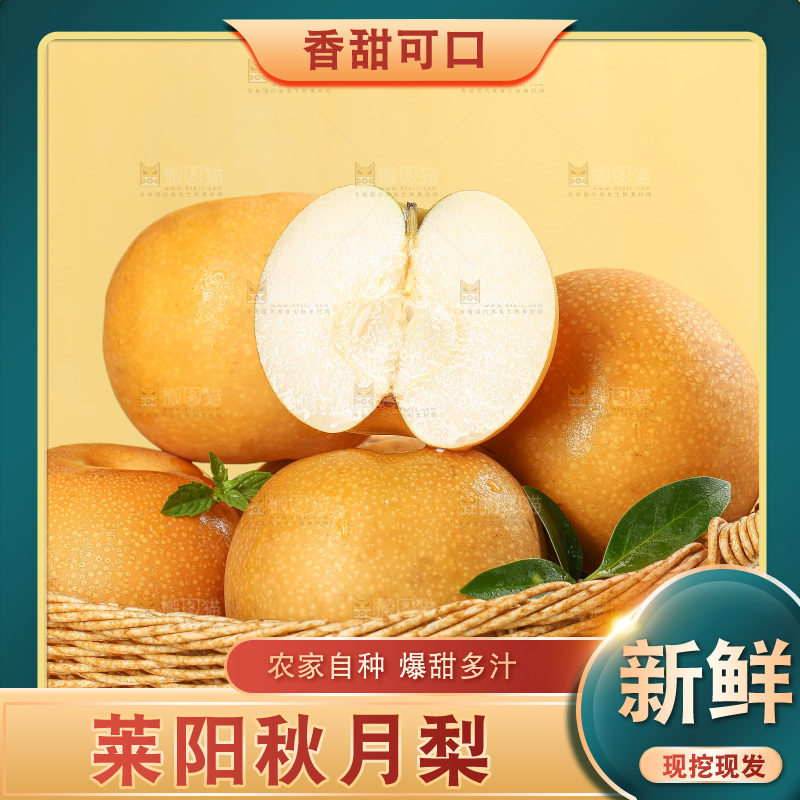 浅底上的秋月梨