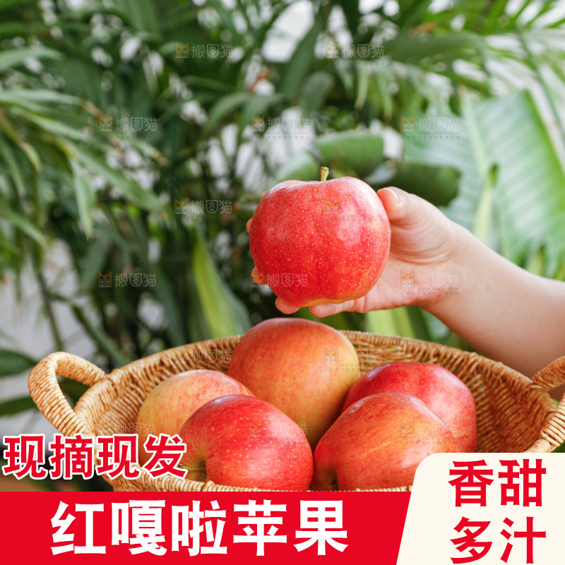 手里拿着红嘎啦苹果