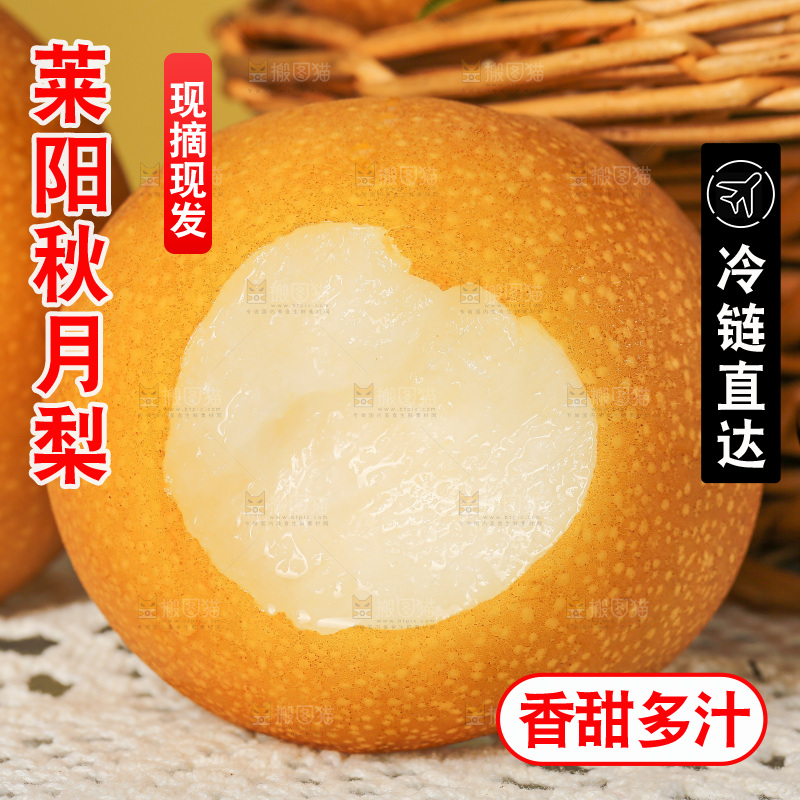浅底上的秋月梨